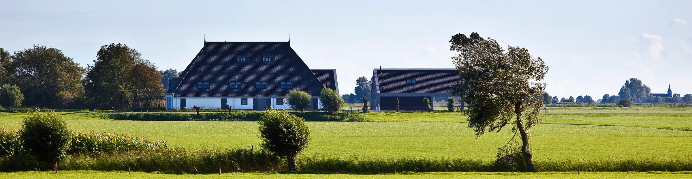 De Pollepleats — Het landschap houdt de hoofdrol