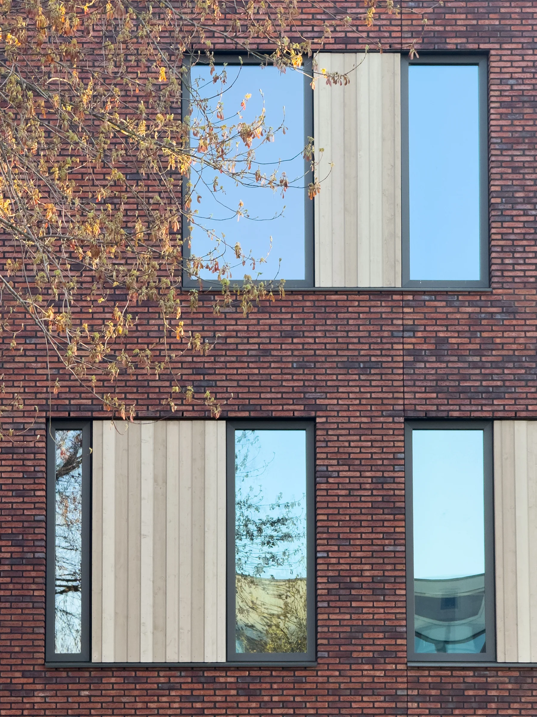 Enerzjyhûs — Detail in het gevelvlak