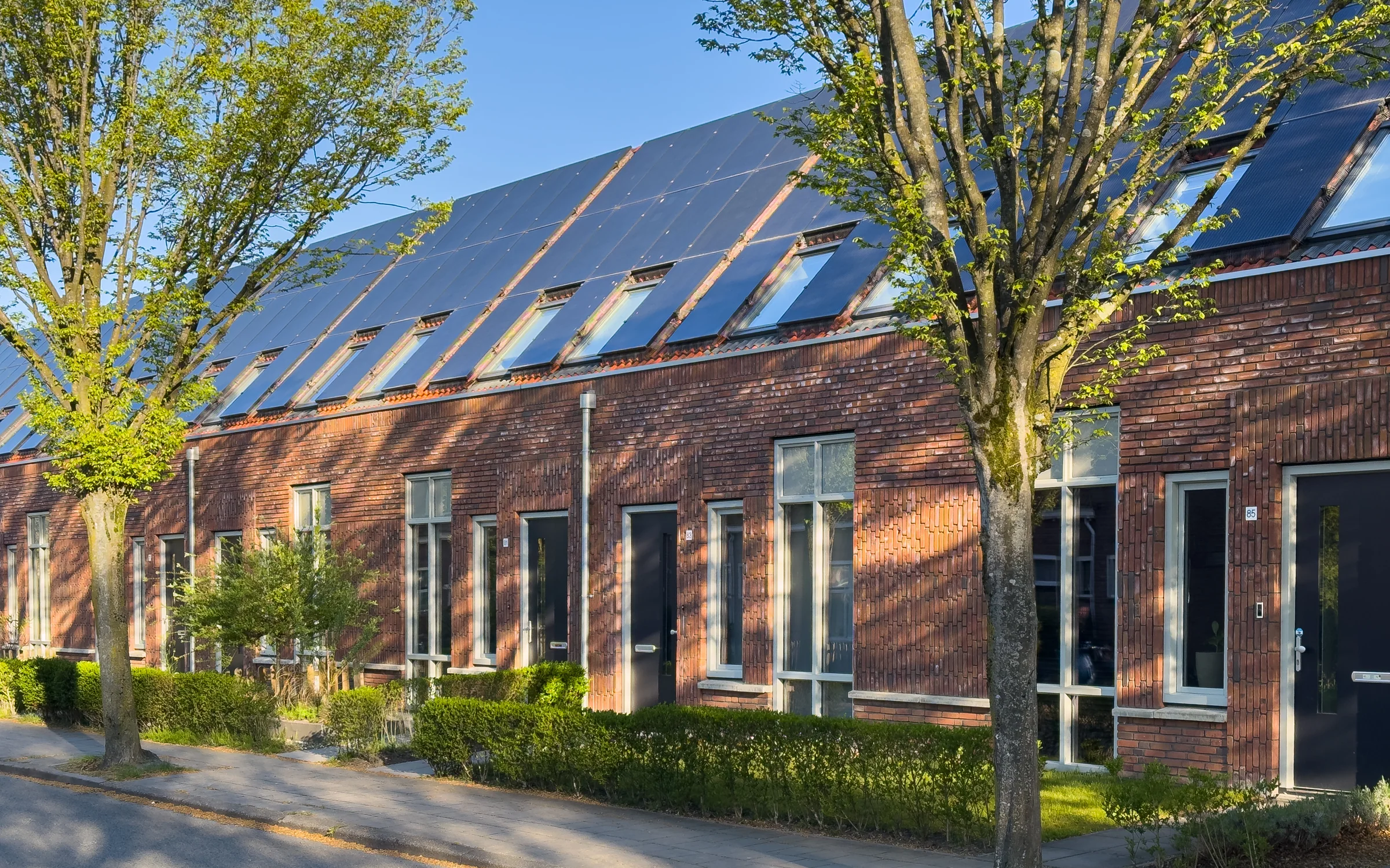 Schopperhof — Het dak doet mee